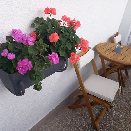 Apartment Danijela Šibenik Esterno foto