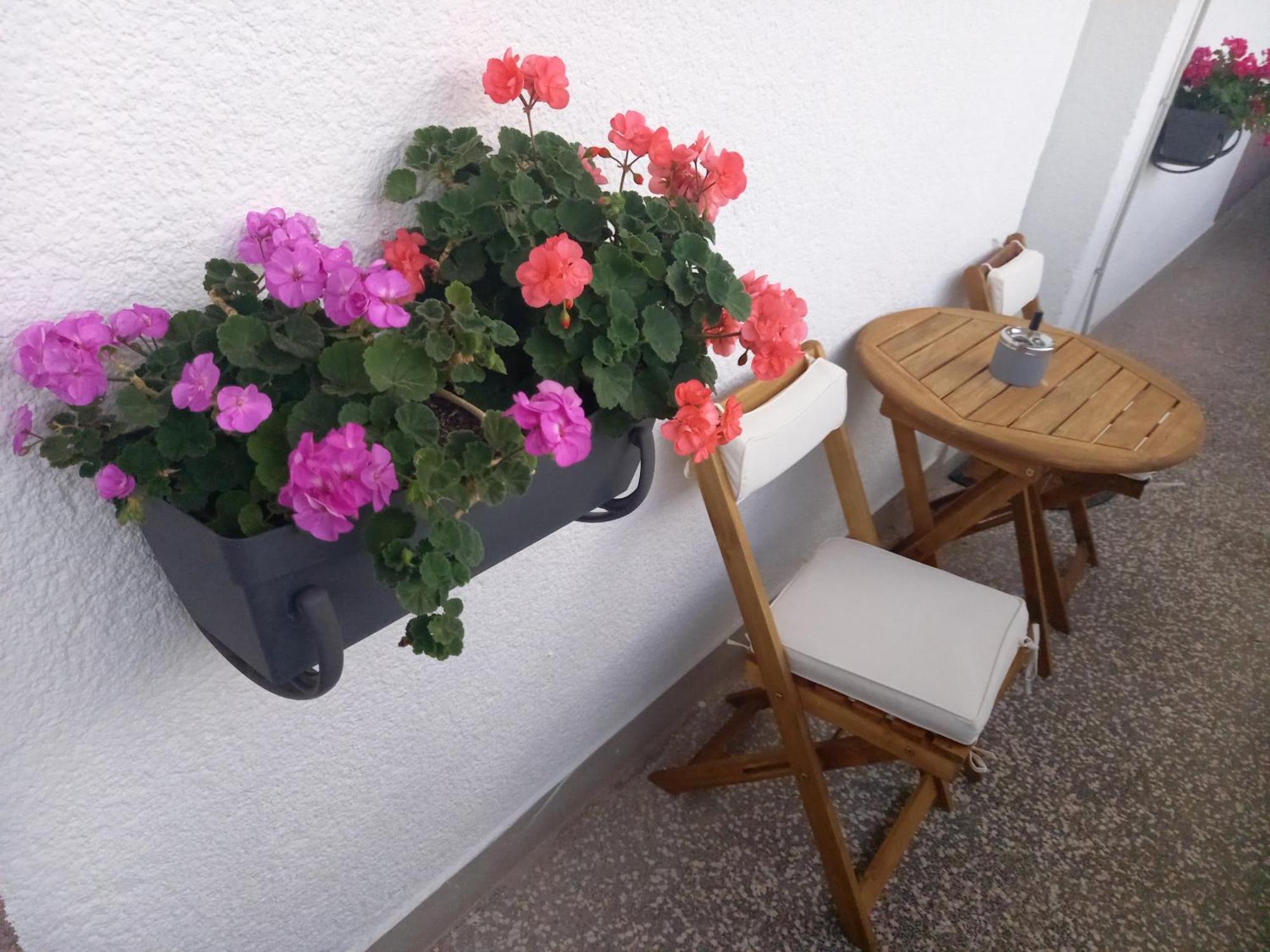 Apartment Danijela Šibenik Esterno foto